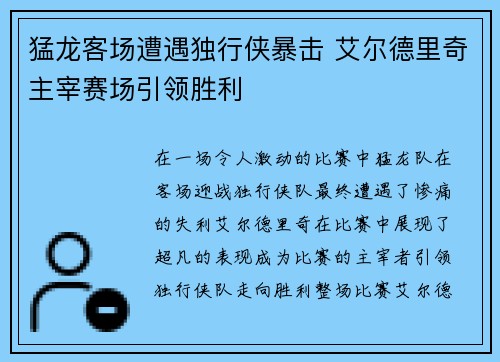猛龙客场遭遇独行侠暴击 艾尔德里奇主宰赛场引领胜利